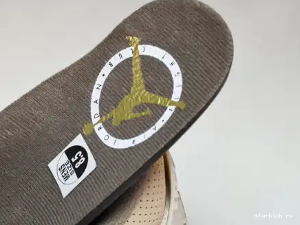 Palomino  CT8532-102  Retro Jordan 3 CT8532-102 0611